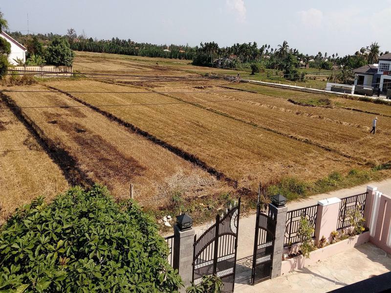 The Field Homestay ฮอยอัน ภายนอก รูปภาพ